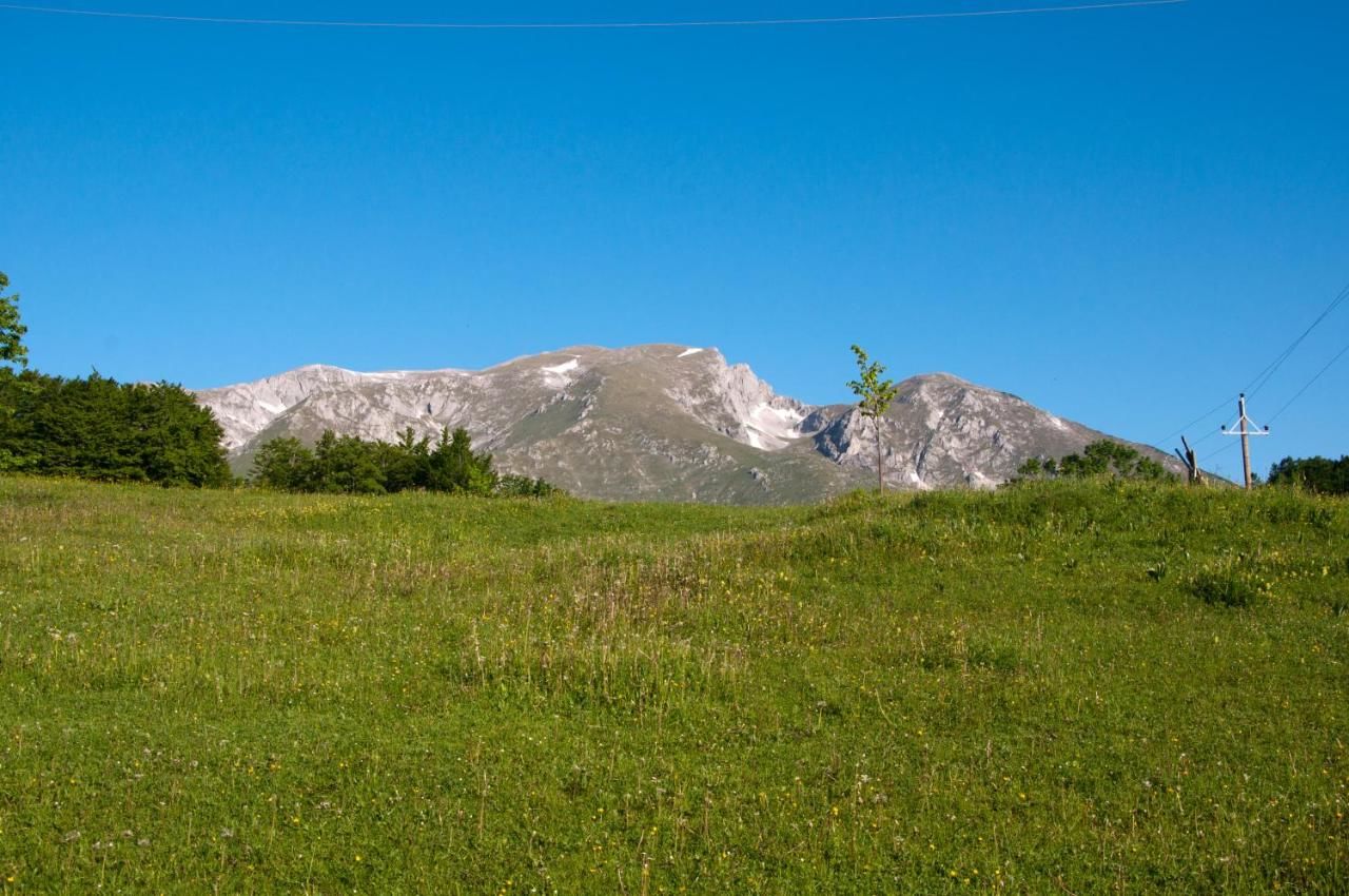 Виллы Green Forest Жабляк