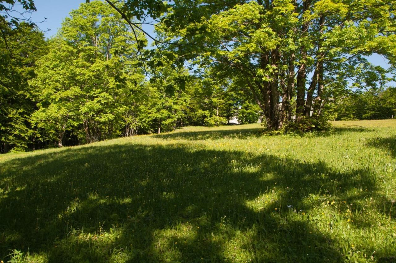Виллы Green Forest Жабляк