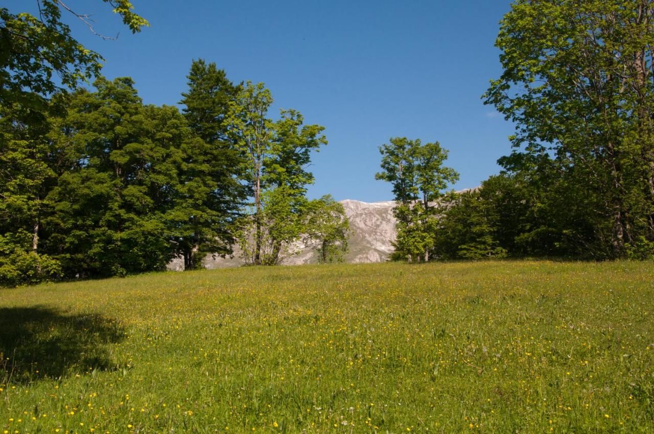 Виллы Green Forest Жабляк