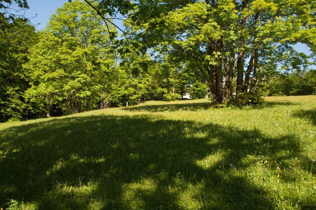 Виллы Green Forest Жабляк