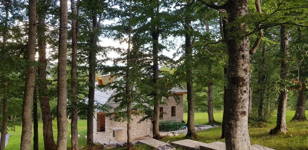 Виллы Green Forest Жабляк