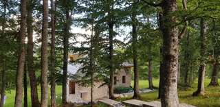 Виллы Green Forest Жабляк Вилла-59