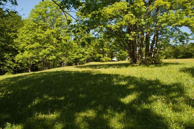 Виллы Green Forest Жабляк-55