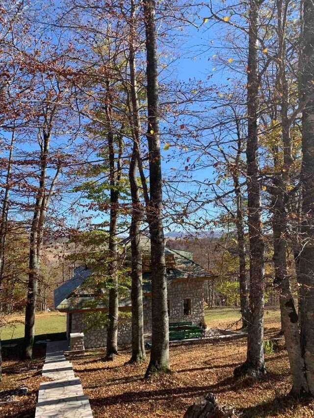 Виллы Green Forest Жабляк-11